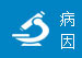 病因